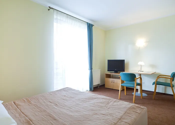 Hotel Western Center