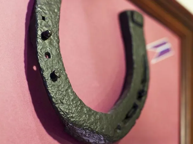 Western Center Hotel 3*